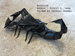 Photo Origami Scorpion, Author : Robert J Lang, Folded by Tatsuto Suzuki